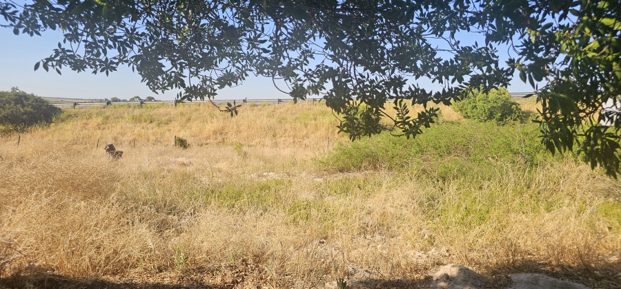 0 Bedroom Property for Sale in Hopefield Western Cape